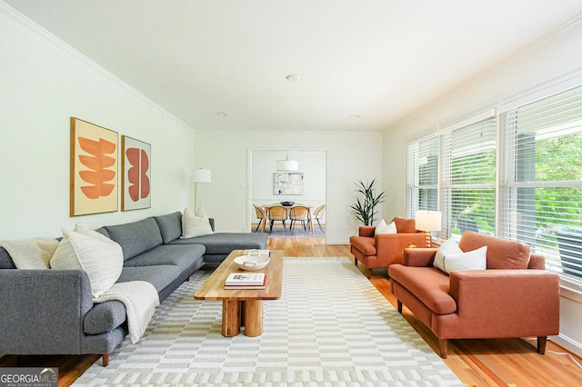 living room featuring crown molding and light wood-type flooring