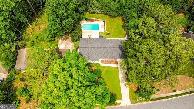 bird's eye view
