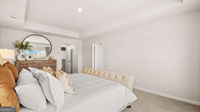322 Sound Cir Unit 118, Stockbridge, GA 30281 - walk in closet with carpet