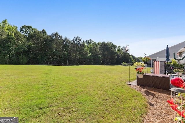 145 Begonia Ct, Griffin, GA 30223 - view of grassy yard