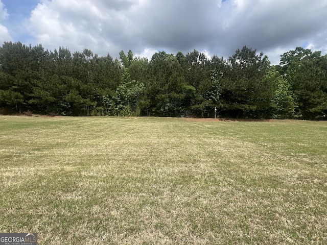 145 Begonia Ct, Griffin, GA 30223 - view of green lawn with a wooded view