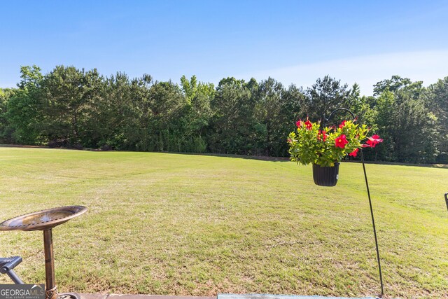 145 Begonia Ct, Griffin, GA 30223 - view of green lawn