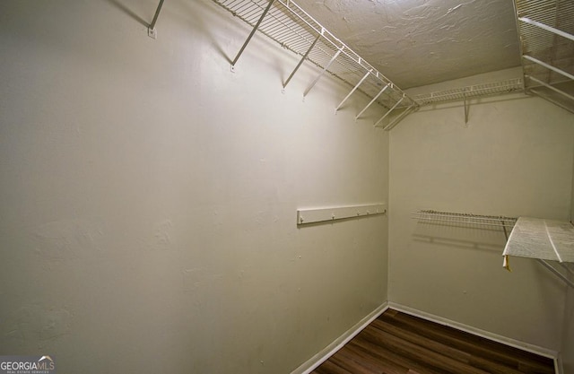 spacious closet featuring wood finished floors