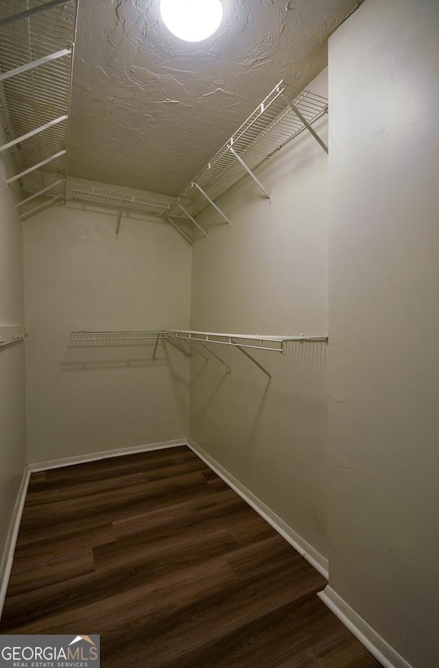 walk in closet with dark wood finished floors