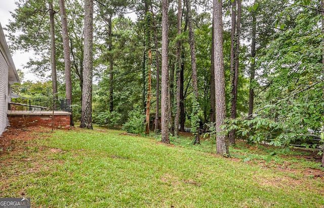 view of yard