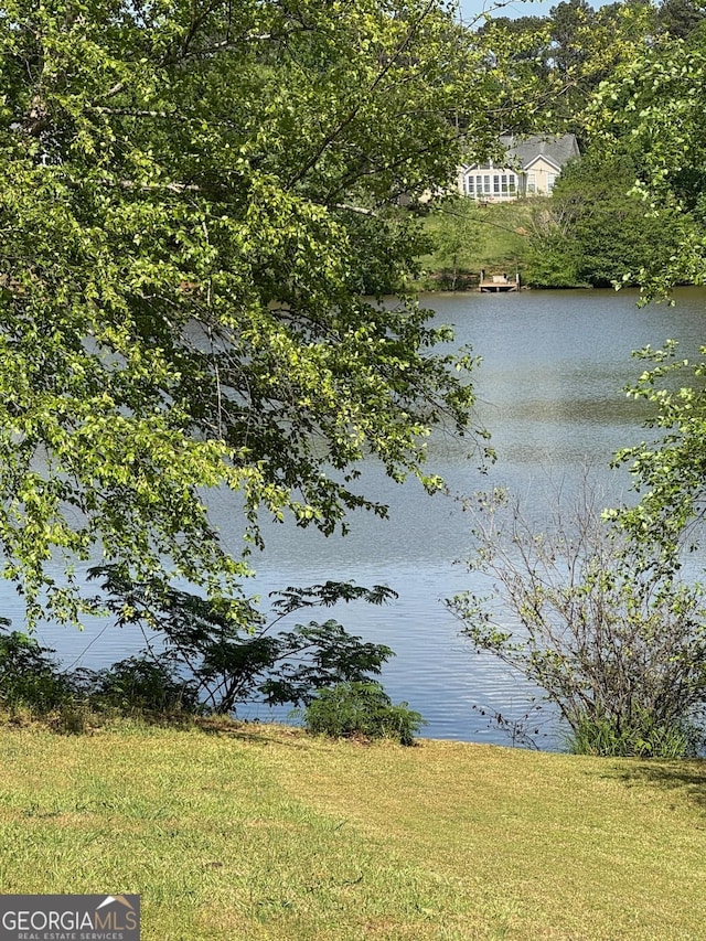 117 Rendition Dr, Mcdonough, GA 30253 - water view