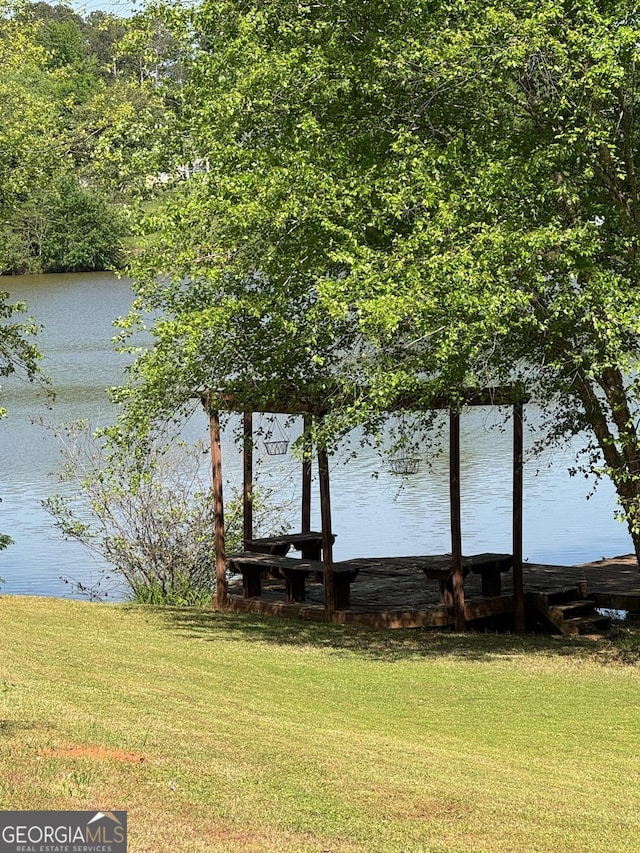 117 Rendition Dr, Mcdonough, GA 30253 - water view