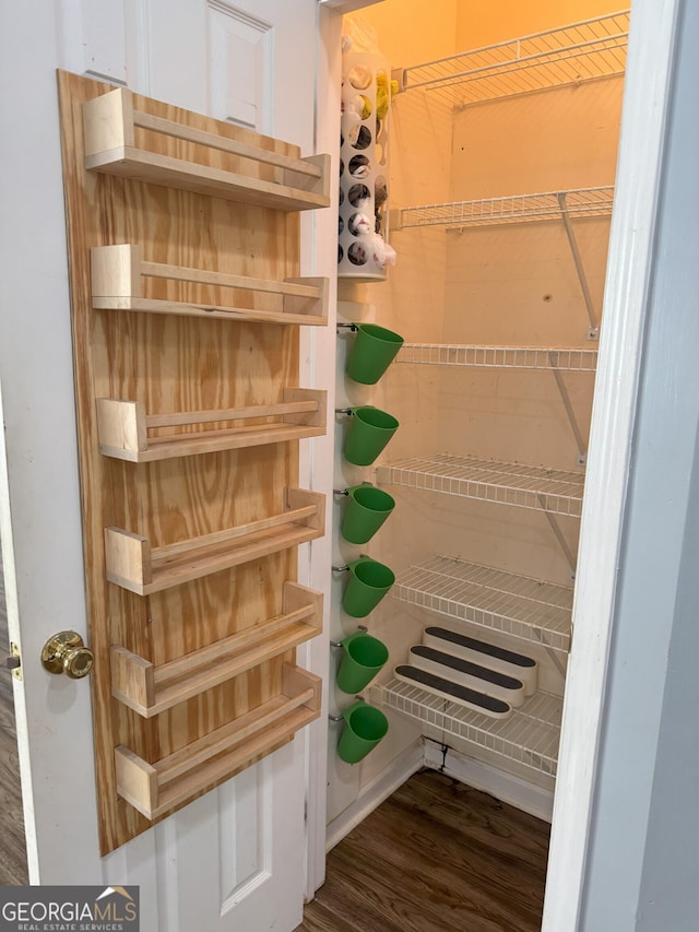 117 Rendition Dr, Mcdonough, GA 30253 - view of pantry