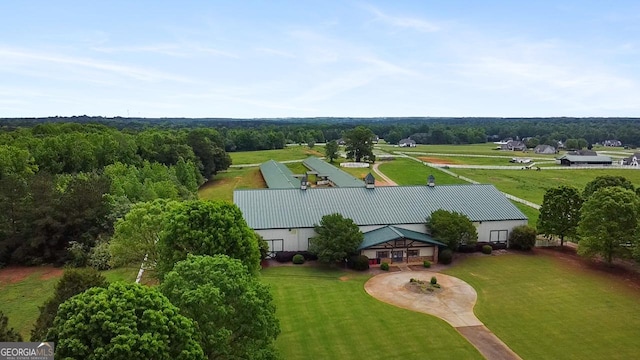461 Preakness Way, Forsyth, GA 31029 - view from above of property