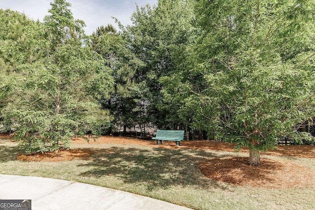 3262 Orchard Cir, Watkinsville, GA 30677 - view of surrounding community
