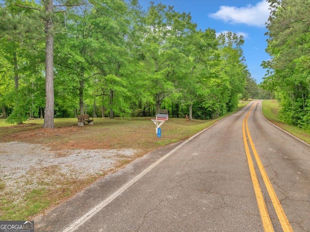 376 Mauldin Rd, Thomaston, GA 30286 - view of road