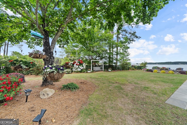 239 Lakeshore Cir, Milledgeville, GA 31061 - view of yard with a water view