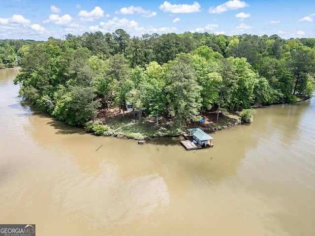2000 Campbell Rd, Covington, GA 30014 - drone / aerial view of a large body of water and a forest