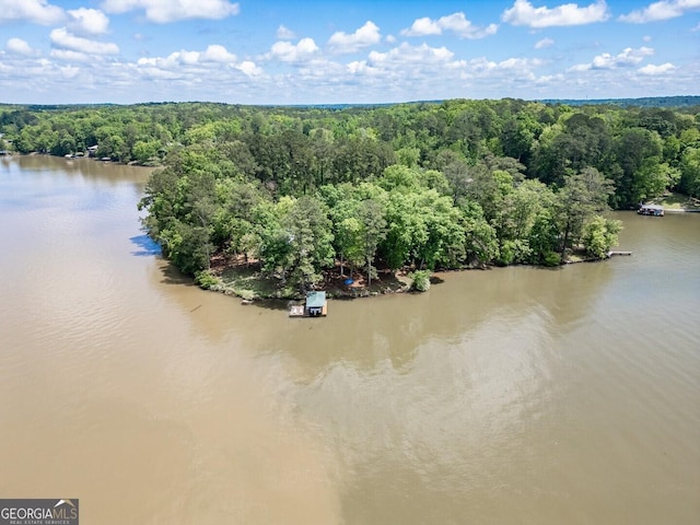 2000 Campbell Rd, Covington, GA 30014 - bird's eye view of a heavily wooded area and a nearby body of water