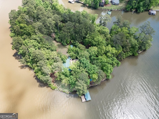 2000 Campbell Rd, Covington, GA 30014 - bird's eye view of a large body of water