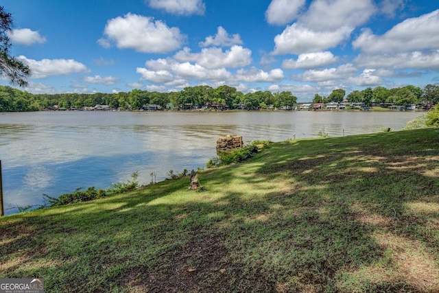 2000 Campbell Rd, Covington, GA 30014 - water view
