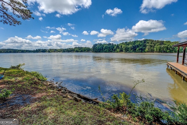 2000 Campbell Rd, Covington, GA 30014 - water view with a forest
