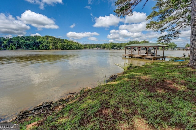 2000 Campbell Rd, Covington, GA 30014 - dock area featuring a water view and a forest view