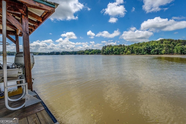 2000 Campbell Rd, Covington, GA 30014 - water view featuring a dock and boat lift