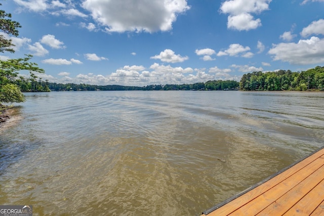 2000 Campbell Rd, Covington, GA 30014 - water view