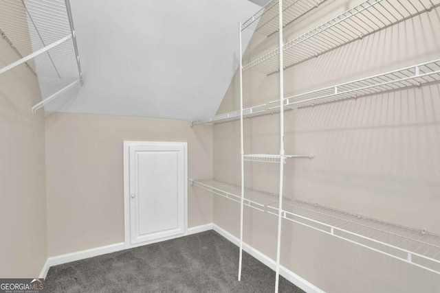 spacious closet featuring carpet floors and lofted ceiling