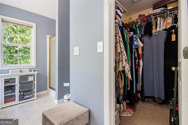 10 Callaway Ct, Hiram, GA 30141 - view of spacious closet