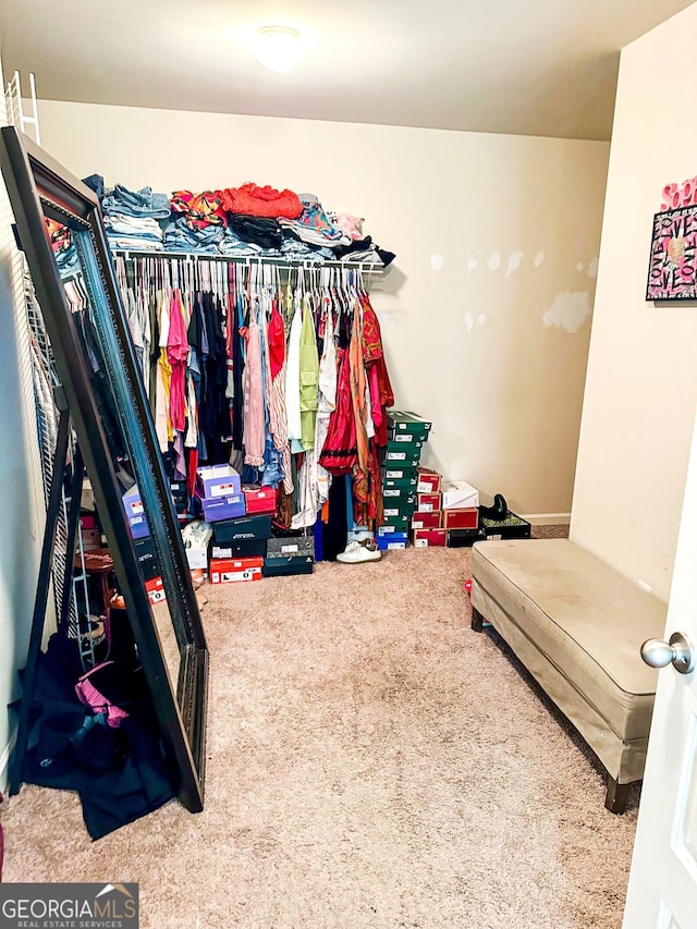 573 Emporia Loop, Mcdonough, GA 30253 - spacious closet with carpet floors