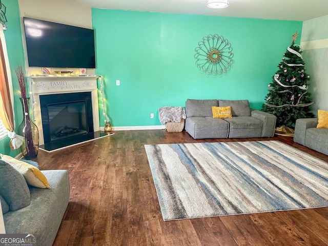 573 Emporia Loop, Mcdonough, GA 30253 - living room with a glass covered fireplace and wood finished floors