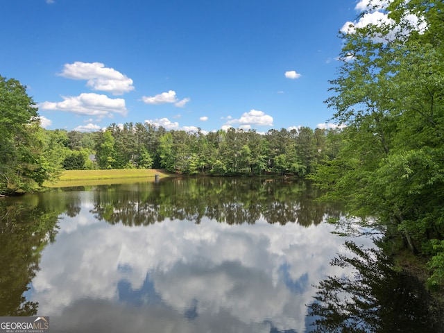 property view of water with a wooded view