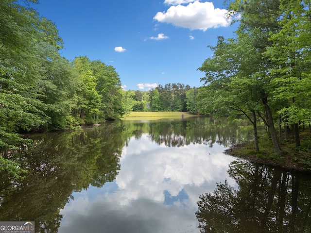 view of water feature with a wooded view