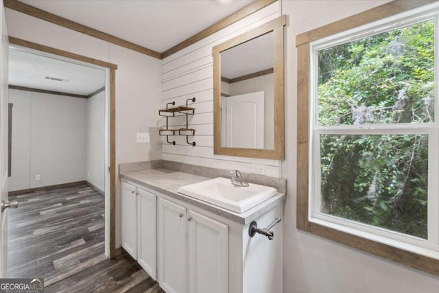 1293 Lake Dr, Midway, GA 31320 - bathroom with vanity, ornamental molding, wood finished floors, and visible vents