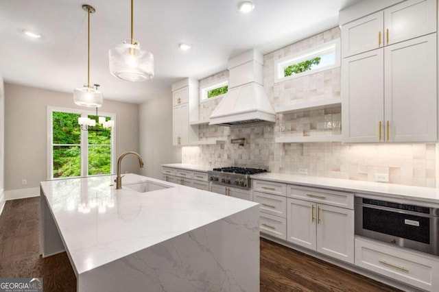 kitchen featuring a sink, decorative backsplash, premium range hood, appliances with stainless steel finishes, and plenty of natural light