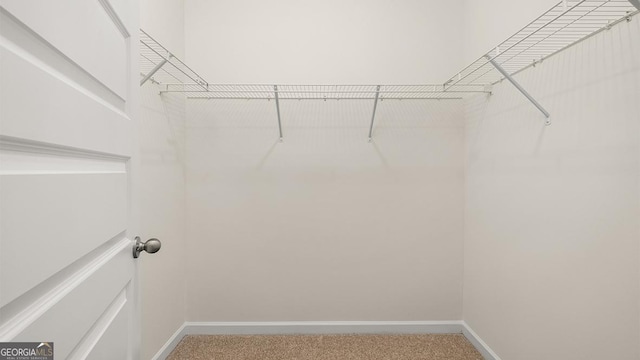 1400 Adirondac Way, Bonaire, GA 31005 - walk in closet with light carpet