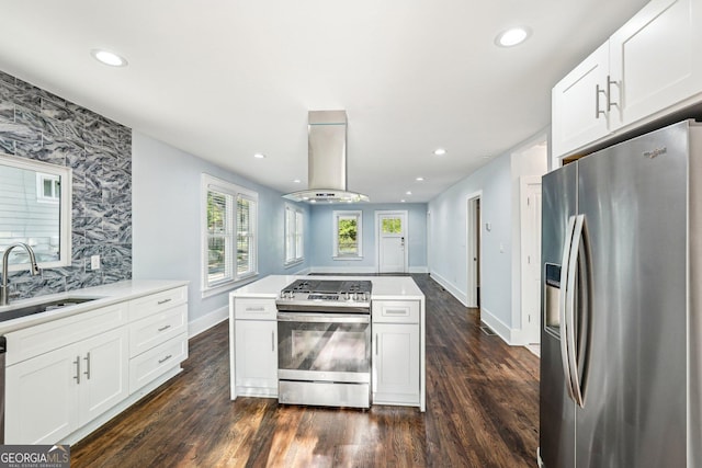 kitchen featuring dark wood-style flooring, a sink, ventilation hood, and appliances with stainless steel finishes