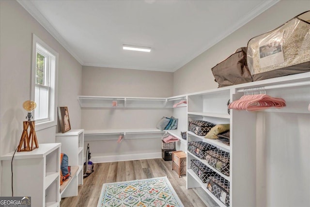 205 River Forest Dr, Forsyth, GA 31029 - walk in closet with wood finished floors