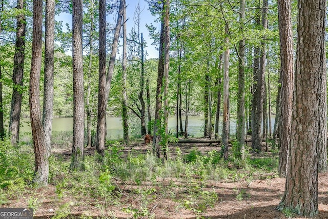 2930 Aquitania Ln, Cumming, GA 30040 - view of landscape