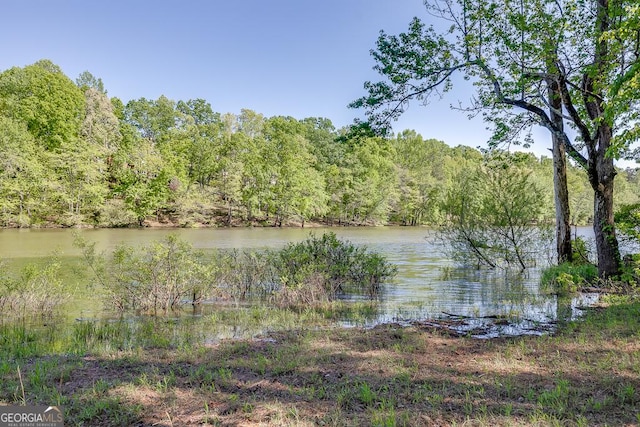2930 Aquitania Ln, Cumming, GA 30040 - view of water feature with a wooded view