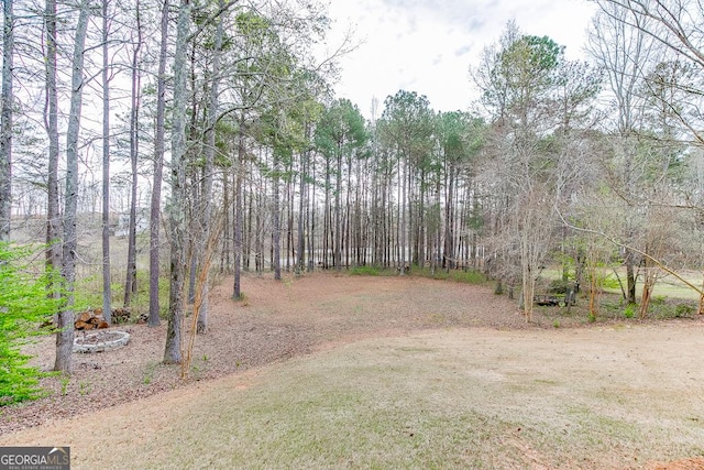 2930 Aquitania Ln, Cumming, GA 30040 - view of yard with a forest view