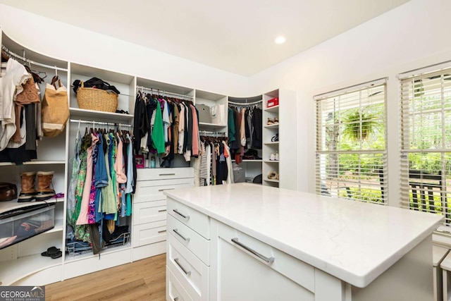 3380 Hill Forest Trl NW, Acworth, GA 30101 - spacious closet with light wood-type flooring