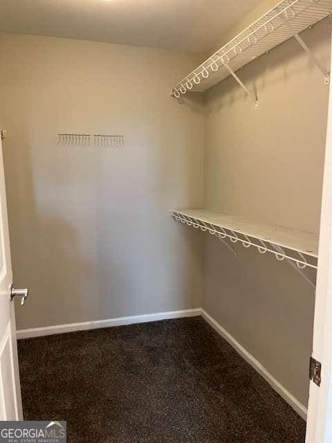 220 Rehobeth Way, Fayetteville, GA 30214 - walk in closet featuring dark colored carpet