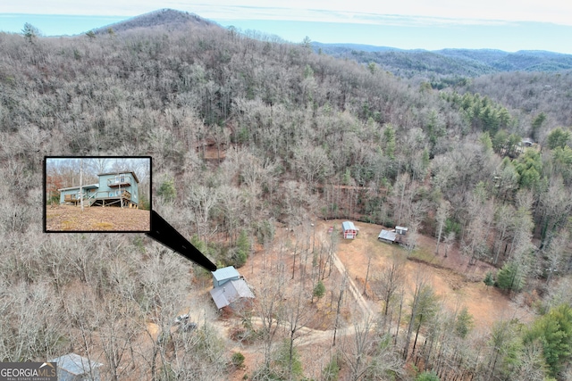 266 Ritchie Rd, Tiger, GA 30576 - drone / aerial view featuring a wooded view and a mountain view