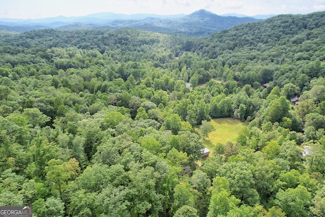 266 Ritchie Rd, Tiger, GA 30576 - bird's eye view with a mountain view and a forest view