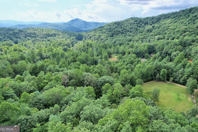 266 Ritchie Rd, Tiger, GA 30576 - drone / aerial view featuring a mountain view and a forest view