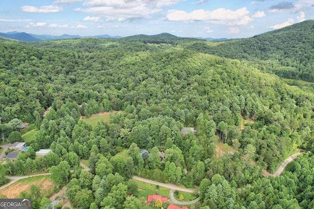 266 Ritchie Rd, Tiger, GA 30576 - aerial view with a mountain view and a forest view