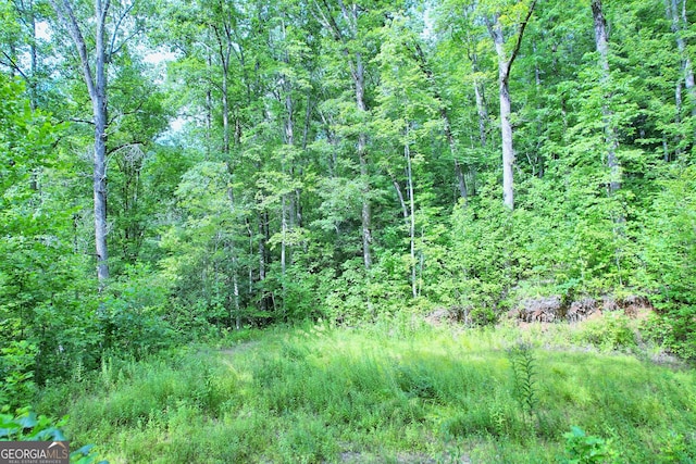 266 Ritchie Rd, Tiger, GA 30576 - view of nature with a wooded view