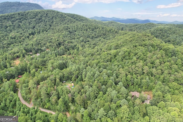 266 Ritchie Rd, Tiger, GA 30576 - bird's eye view with a mountain view and a view of trees
