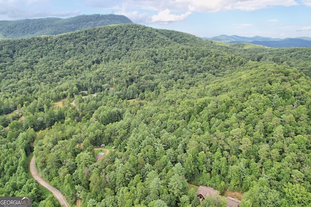 266 Ritchie Rd, Tiger, GA 30576 - drone / aerial view with a wooded view and a mountain view