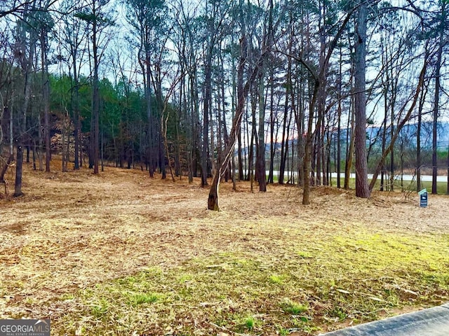 1 Magnolia Ct, Summerville, GA 30747