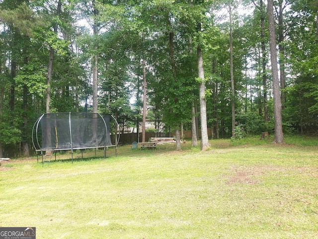 view of yard with a trampoline