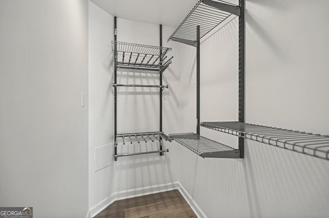 walk in closet with dark wood-style floors